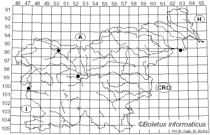 <i>Patellaria atrata</i> (Hedw.) Fr. (1822)