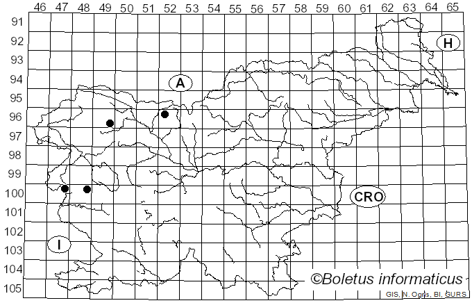 <i>Rhodophana</i> Kühner (1971)