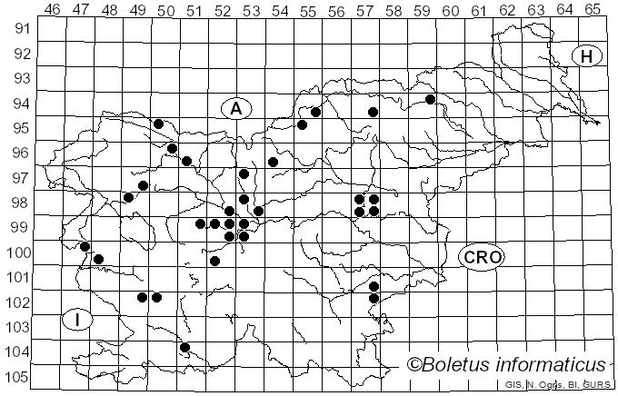 <i>Plasmopara</i> J. Schröt. (1886)