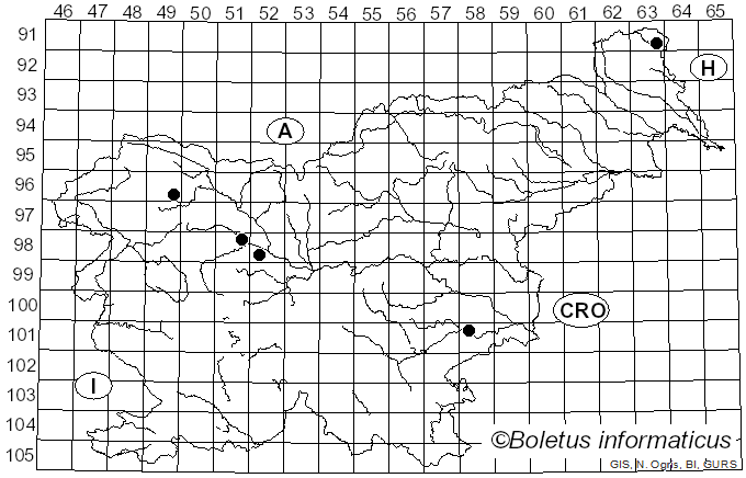<i>Xanthandrus</i>