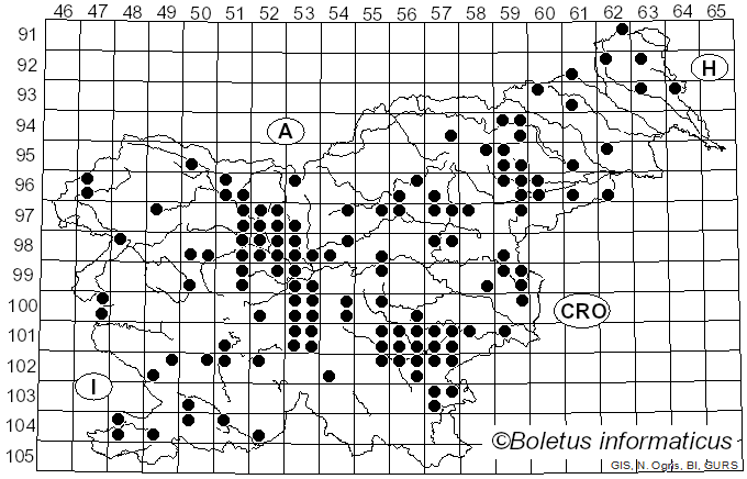 <i>Helvella crispa</i> (Scop.) Fr. (1822)