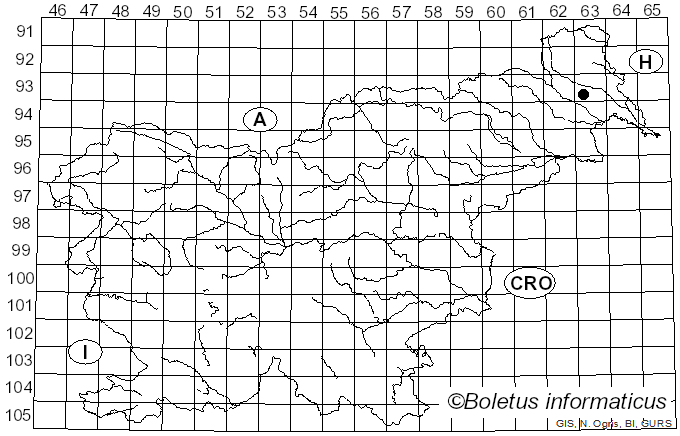 <i>Conocybe deliquescens</i> Hauskn. & Krisai (2006)