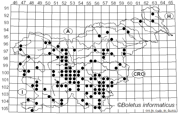 <i>Butyriboletus fechtneri</i> (Velen.) D. Arora & J.L. Frank (2014)