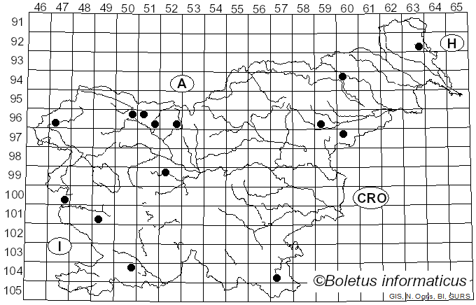 <i>Dasyscyphella nivea</i> (R. Hedw.) Raitv. (1970)