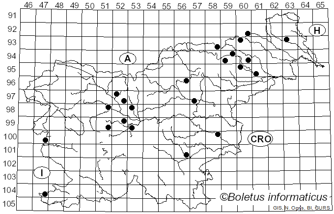 <i>Coprinellus truncorum</i> (Scop.) Redhead, Vilgalys & Moncalvo (2001)