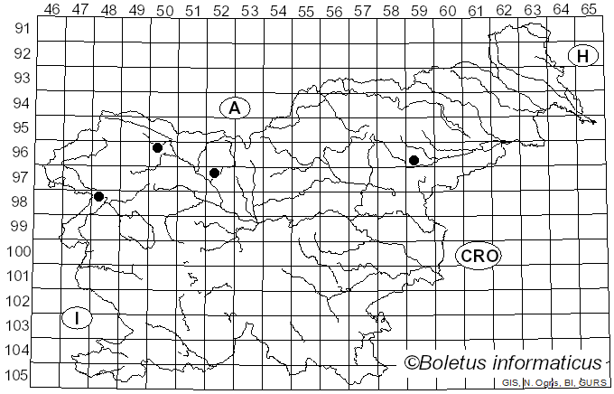 <i>Peniophora limitata</i> (Chaillet) Cooke (1879)