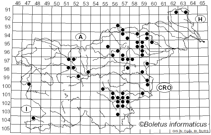 <i>Boletellus</i> Murrill (1909)