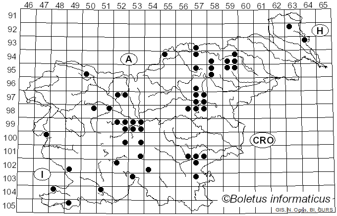 <i>Tricholoma caligatum</i> (Viv.) Ricken (1914)