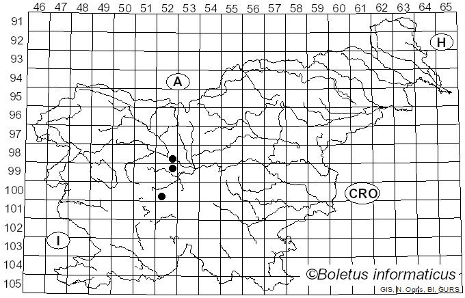 <i>Mycosphaerella ligustri</i> (Roberge ex Desm.) Lindau (1897)