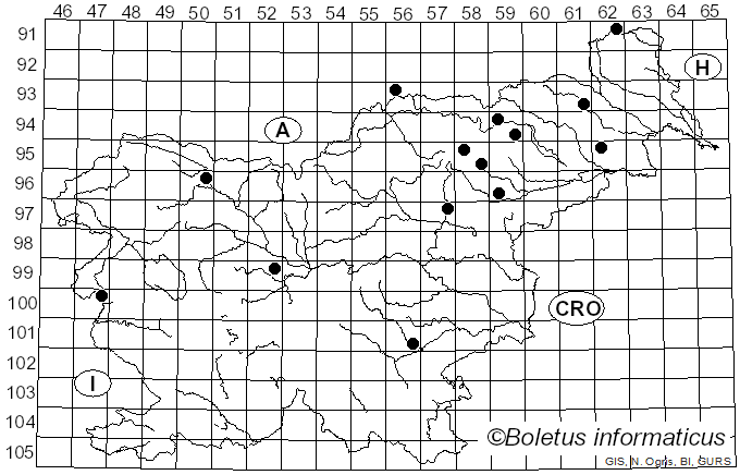 <i>Sarcodontia spumea</i> (Sowerby) Spirin (2001)