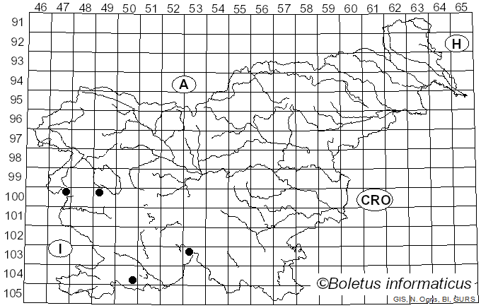 <i>Petractis clausa</i> (Hoffm.) Kremp. (1861)