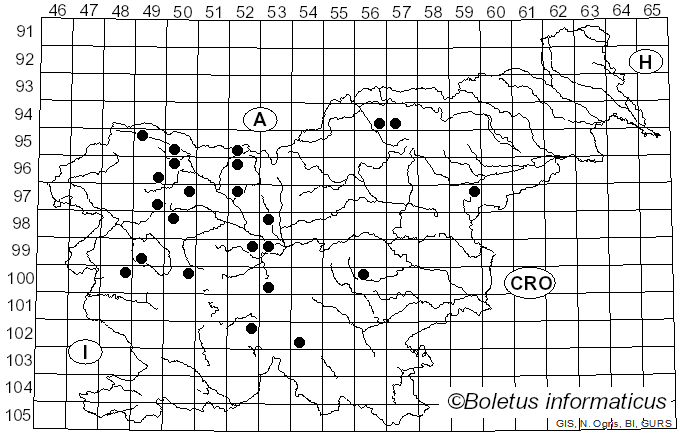 <i>Marasmius wettsteinii</i> Sacc. & P. Syd. (1899)