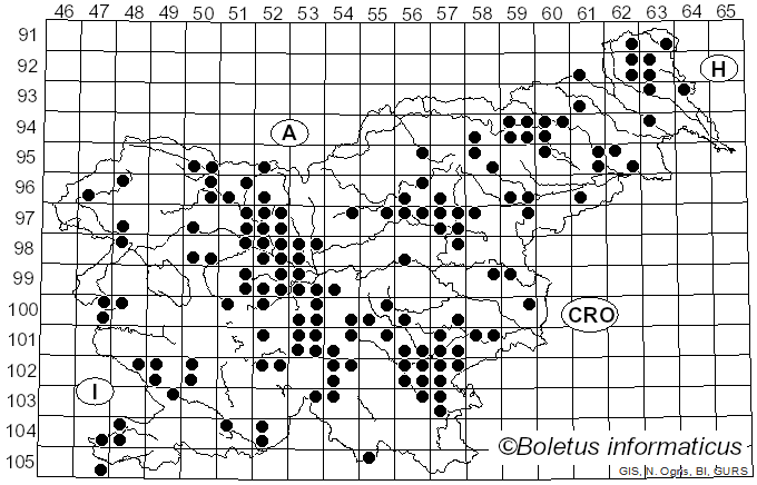 <i>Lyophyllum decastes</i> (Fr.) Singer (1951)