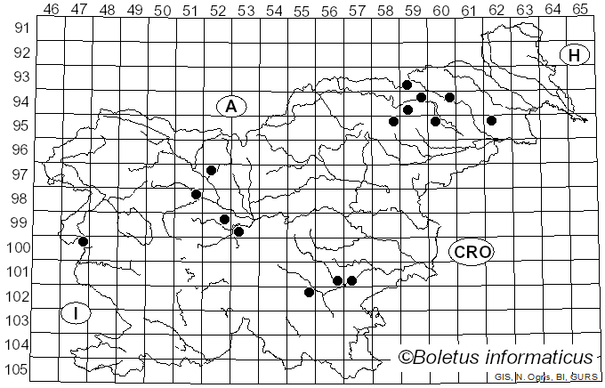 <i>Calonarius dibaphus</i> (Fr.) Niskanen & Liimat. (2022)
