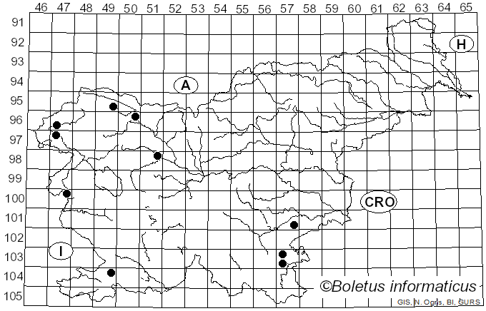 <i>Homophron</i> (Britzelm.) Örstadius & E. Larss. (2015)