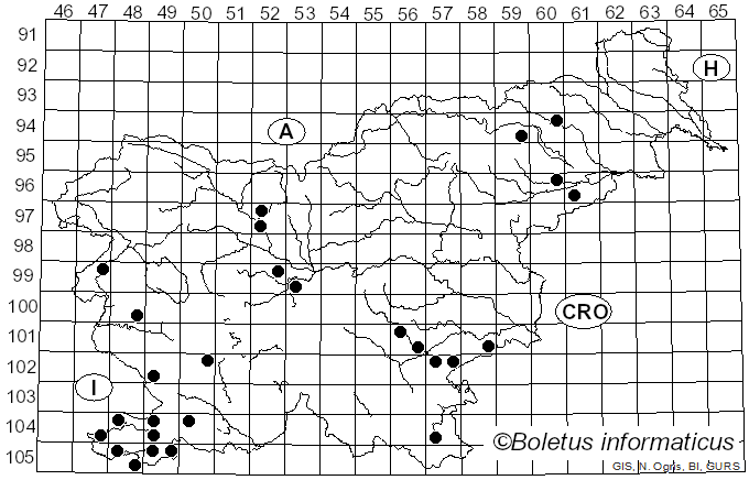 <i>Tuber</i> P. Micheli ex F.H. Wigg. (1780)