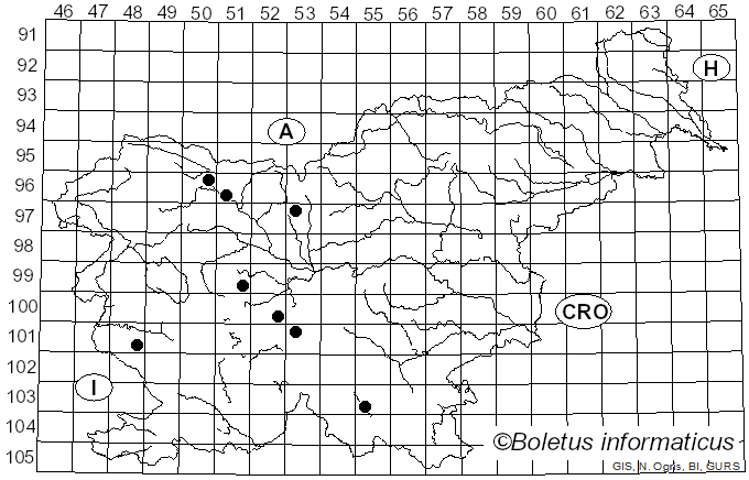 <i>Epicoccum nigrum</i> Link (1815)
