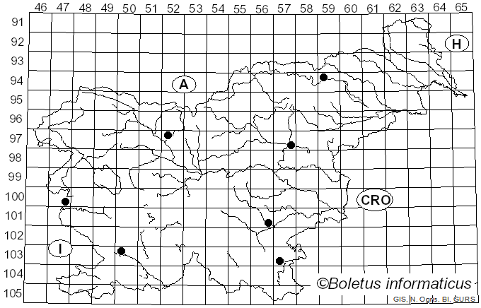 <i>Coprinellus radians</i> (Desm.) Vilgalys, Hopple & Jacq. Johnson (2001)