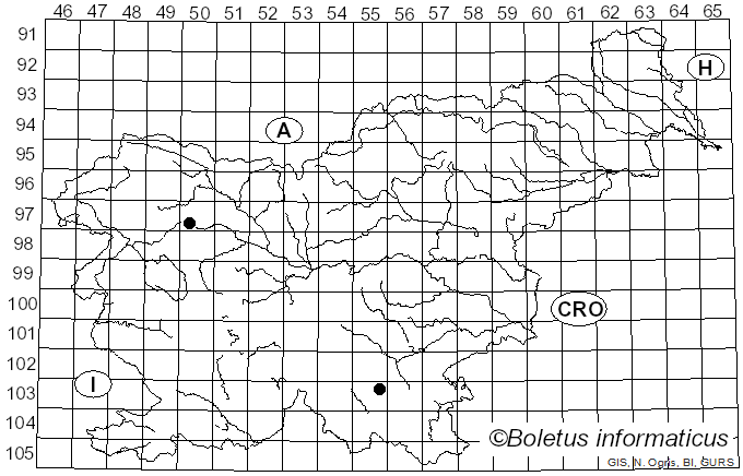 <i>Leptogium palmatum</i> (Huds.) Mont. (1846)