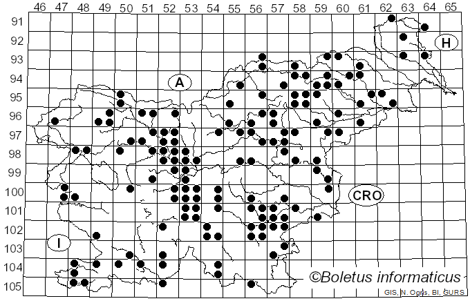 <i>Lentinellus</i> P. Karst. (1879)