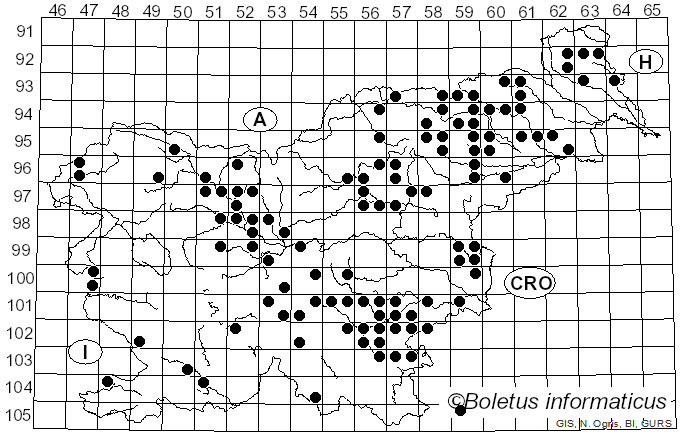 <i>Mycena inclinata</i> (Fr.) Quél. (1872)