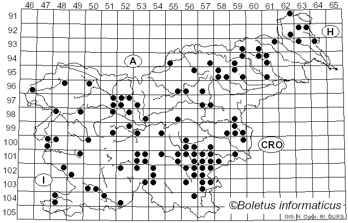 <i>Ramaria flavescens</i> (Schaeff.) R.H. Petersen (1974)