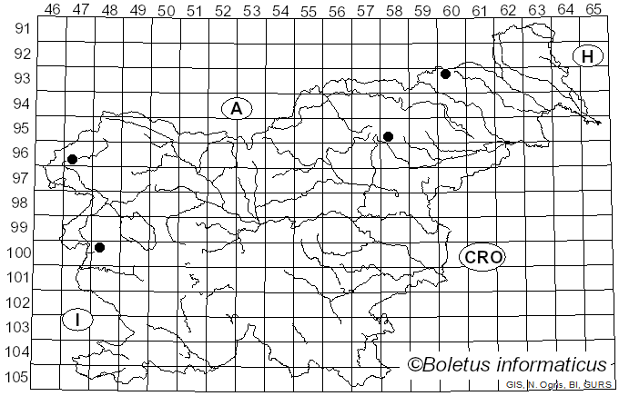 <i>Thaxterogaster talus</i> (Fr.) Niskanen & Liimat. (2022)