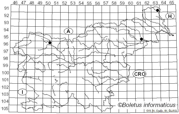 <i>Helminthosporium juglandinum</i> Voglmayr & Jaklitsch (2017)