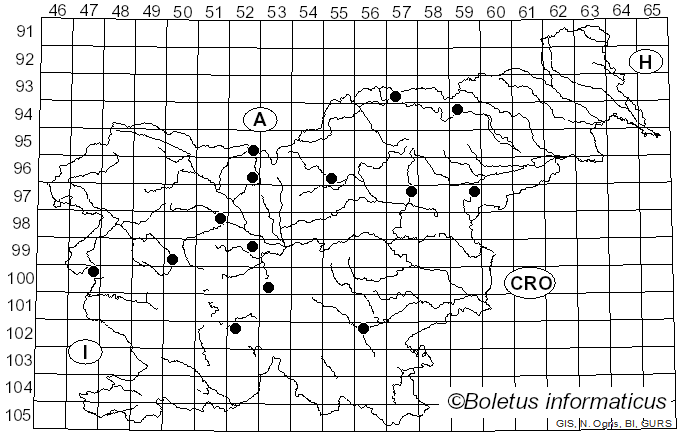 <i>Clitocybula lacerata</i> (Scop.) Métrod (1952)