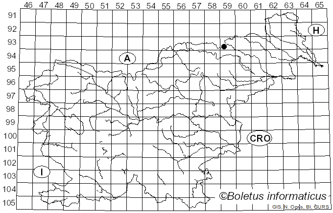 <i>Thaxterogaster pluvialis</i> (Kühner) Niskanen & Liimat. (2022)