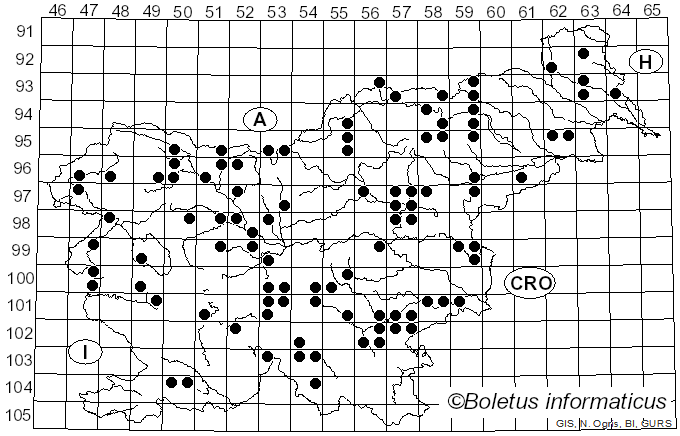 <i>Bolbitius</i> Fr. (1838)