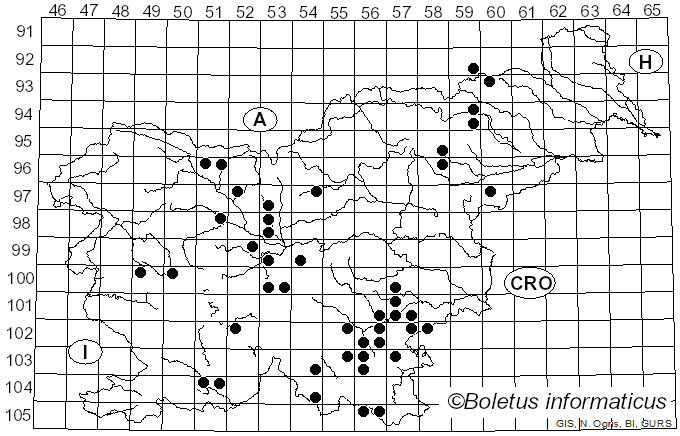 <i>Hericium coralloides</i> (Scop.) Pers. (1794)
