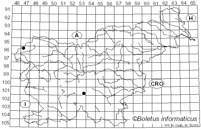 <i>Fuligo laevis</i> Pers. (1801)