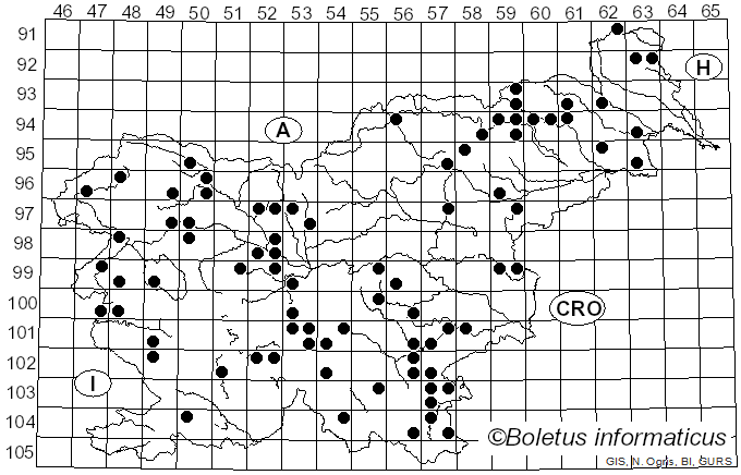 <i>Hypoxylon fuscum</i> (Pers.) Fr. (1849)