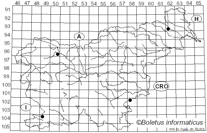<i>Hyphodontia arguta</i> (Fr.) J. Erikss. (1958)