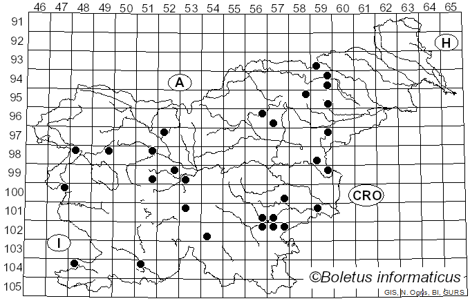 <i>Cortinarius suillus</i> Fr. (1838)