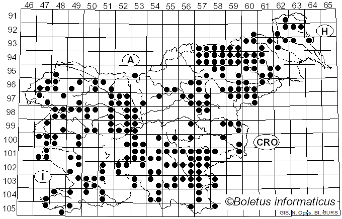 <i>Phellinus</i> Quél. (1886)