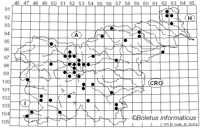 <i>Tricholoma albobrunneum</i> (Pers.) P. Kumm. (1871)