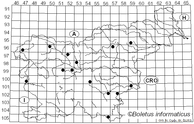 <i>Entoloma vernum</i> S. Lundell (1937)