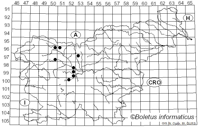 <i>Protomyces</i> Unger (1832)