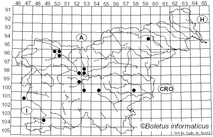 <i>Metatrichia vesparia</i> (Batsch) Nann.-Bremek. ex G.W. Martin & Alexop. (1969)
