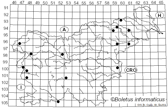 <i>Inocybe fraudans</i> (Britzelm.) Sacc. (1887)