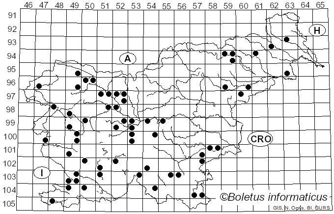 <i>Vuilleminia</i> Maire (1902)