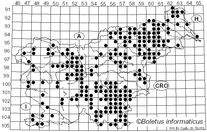 <i>Stereum hirsutum</i> (Willd.) Gray (1938)