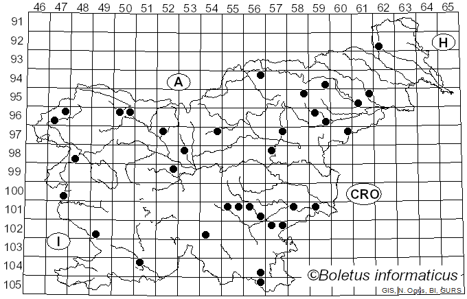 <i>Phaeotremella foliacea</i> (Pers.) Wedin, J.C. Zamora & Millanes (2016)