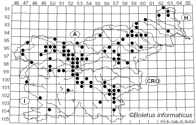 <i>Strobilurus esculentus</i> (Wulfen) Singer (1962)