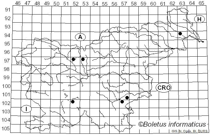 <i>Velutarina rufo-olivacea</i> (Alb. & Schwein.) Korf (1953)
