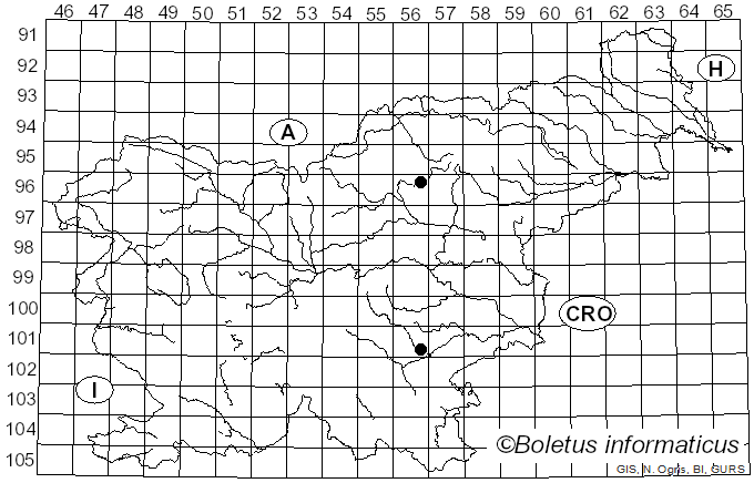 <i>Cyanoboletus poikilochromus</i> (Pöder, Cetto & Zuccher.) M. Carbone, D. Puddu & P. Alvarado (2023)