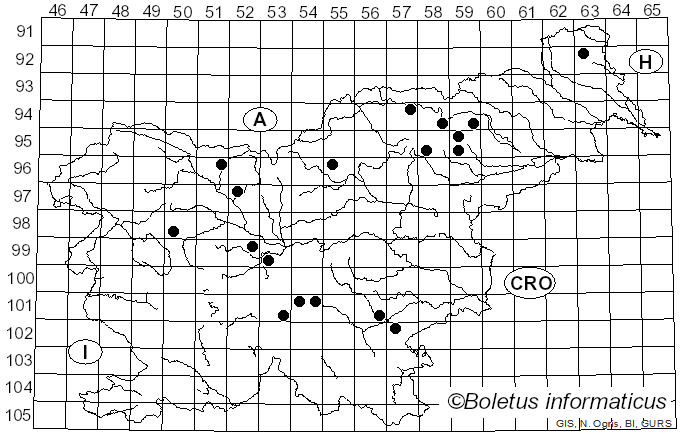 <i>Bankera violascens</i> (Alb. & Schwein.) Pouzar (1955)