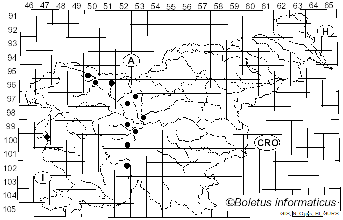 <i>Podosphaera fuliginea</i> (Schltdl.) U. Braun & S. Takam. (2000)